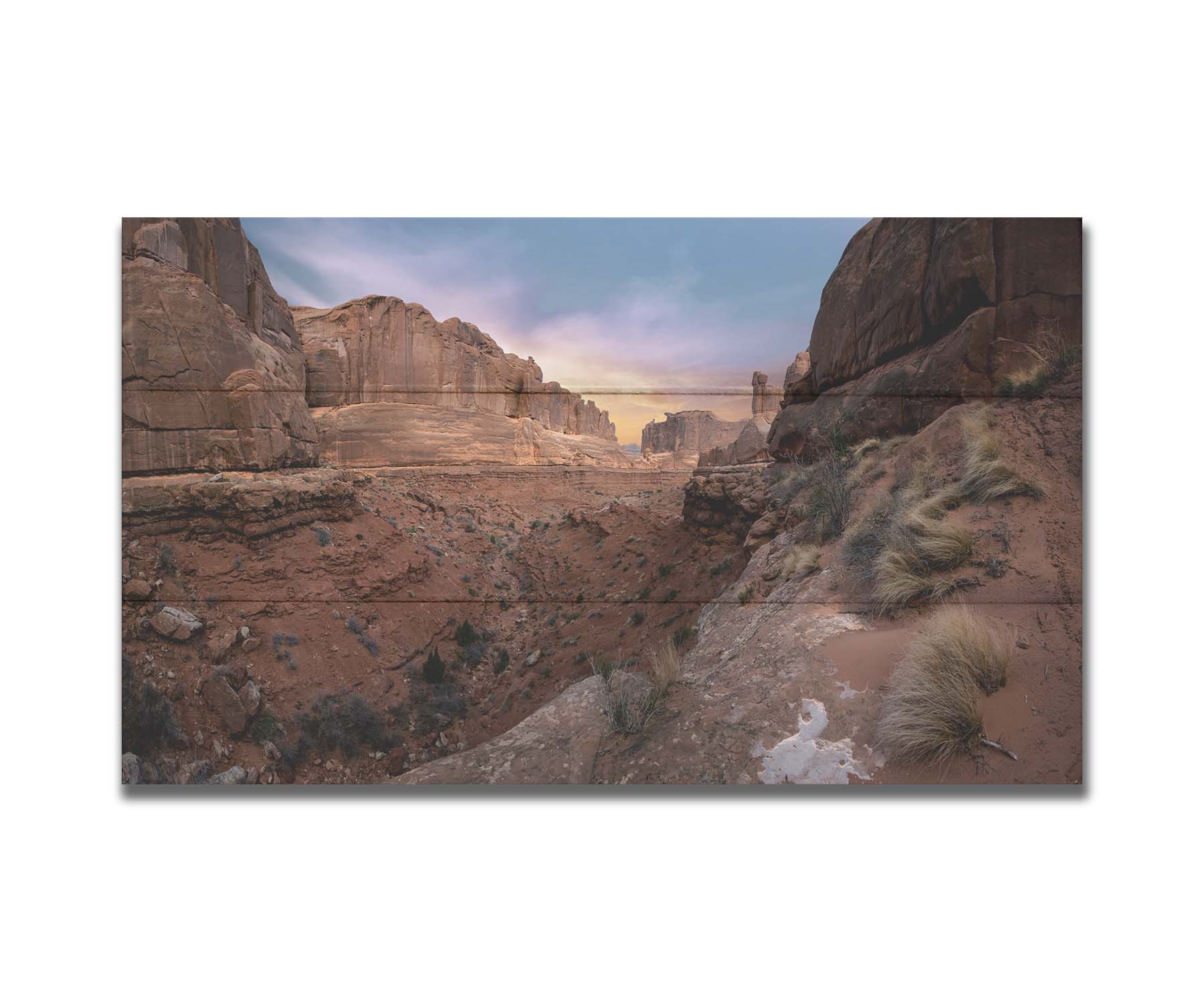 A photo from a Moab, Utah canyon. Sparse shrubbery is scattered along the canyon surrounded by sandstone walls. Printed on a box board.