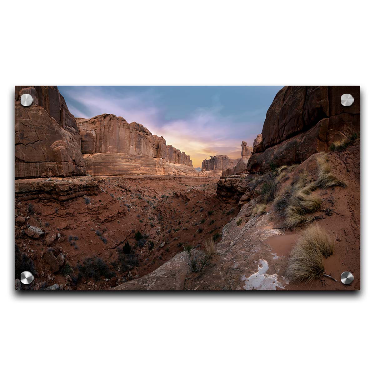 A photo from a Moab, Utah canyon. Sparse shrubbery is scattered along the canyon surrounded by sandstone walls. Printed on acrylic.