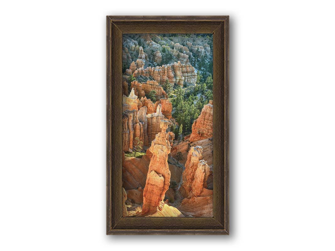 A photo from above of the Thor's Hammer rock formation in Bryce Canyon National Park, Utah. Printed on canvas and framed.