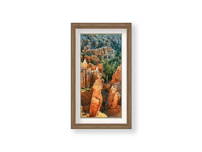 A photo from above of the Thor's Hammer rock formation in Bryce Canyon National Park, Utah. Printed on paper, matted, and framed.