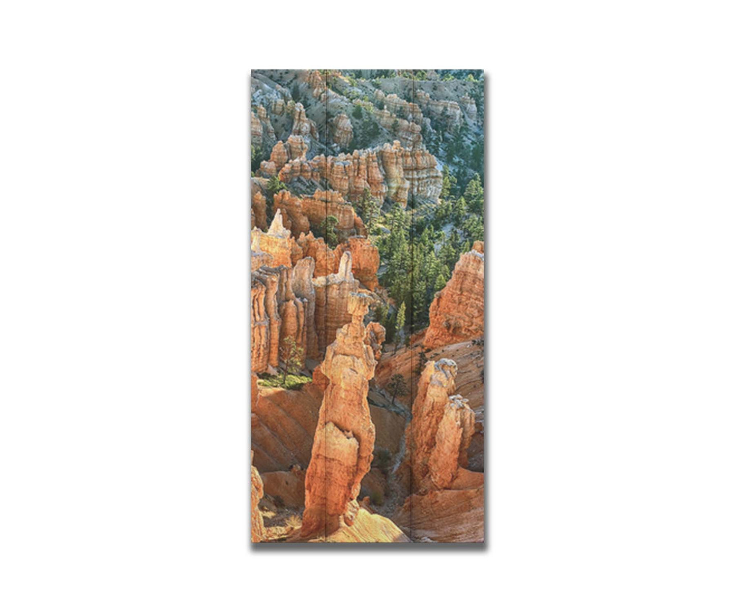 A photo from above of the Thor's Hammer rock formation in Bryce Canyon National Park, Utah. Printed on a box board.