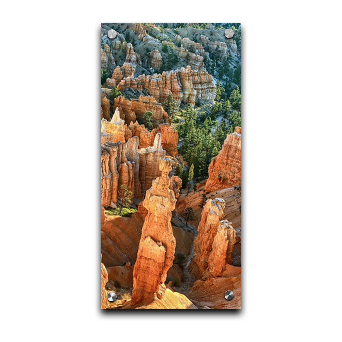 A photo from above of the Thor's Hammer rock formation in Bryce Canyon National Park, Utah. Printed on acrylic.