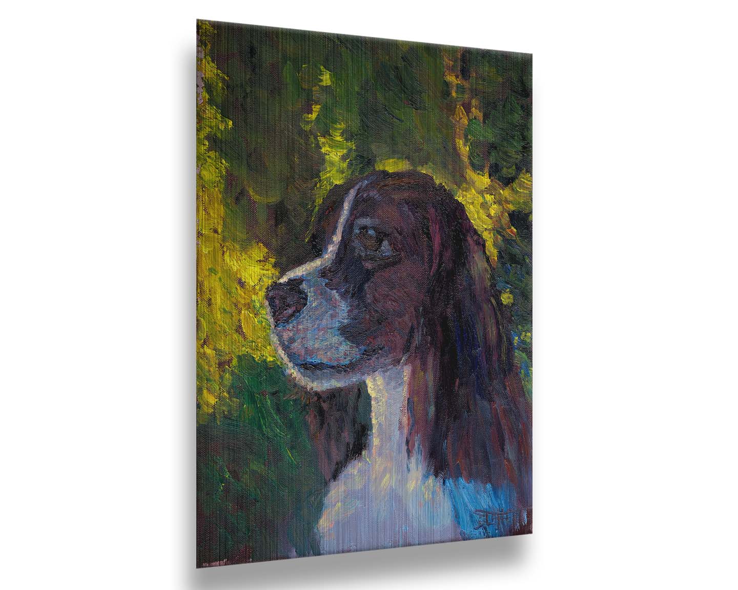 A painting of a brown and white spaniel dog, against a background of greens suggestinng foliage. Printed on metal.