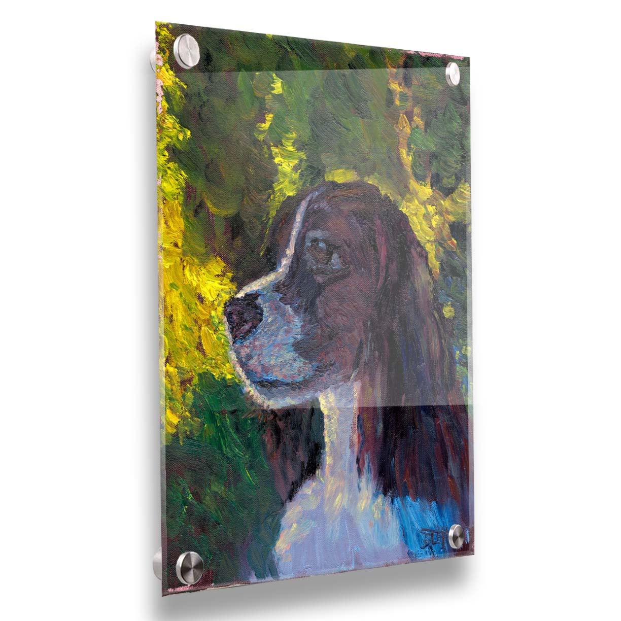 A painting of a brown and white spaniel dog, against a background of greens suggestinng foliage. Printed on acrylic.