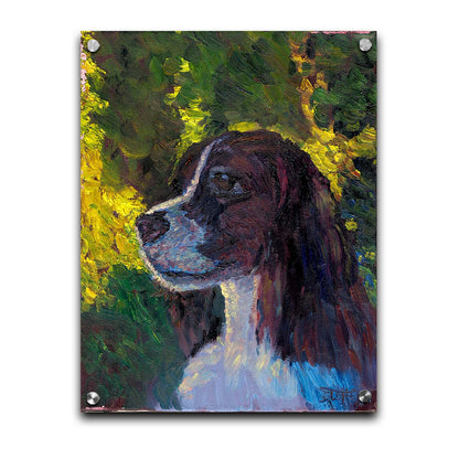 A painting of a brown and white spaniel dog, against a background of greens suggestinng foliage. Printed on acrylic.