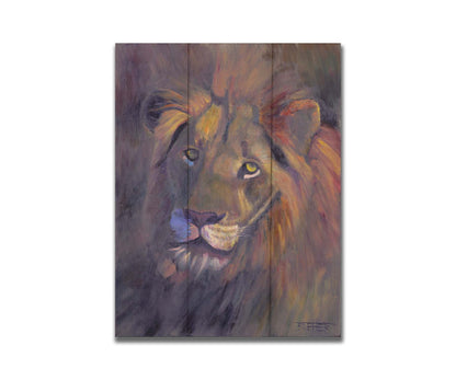 A portrait painting of a lion, accented with a soft gold light and purple shadows. Printed on a box board.