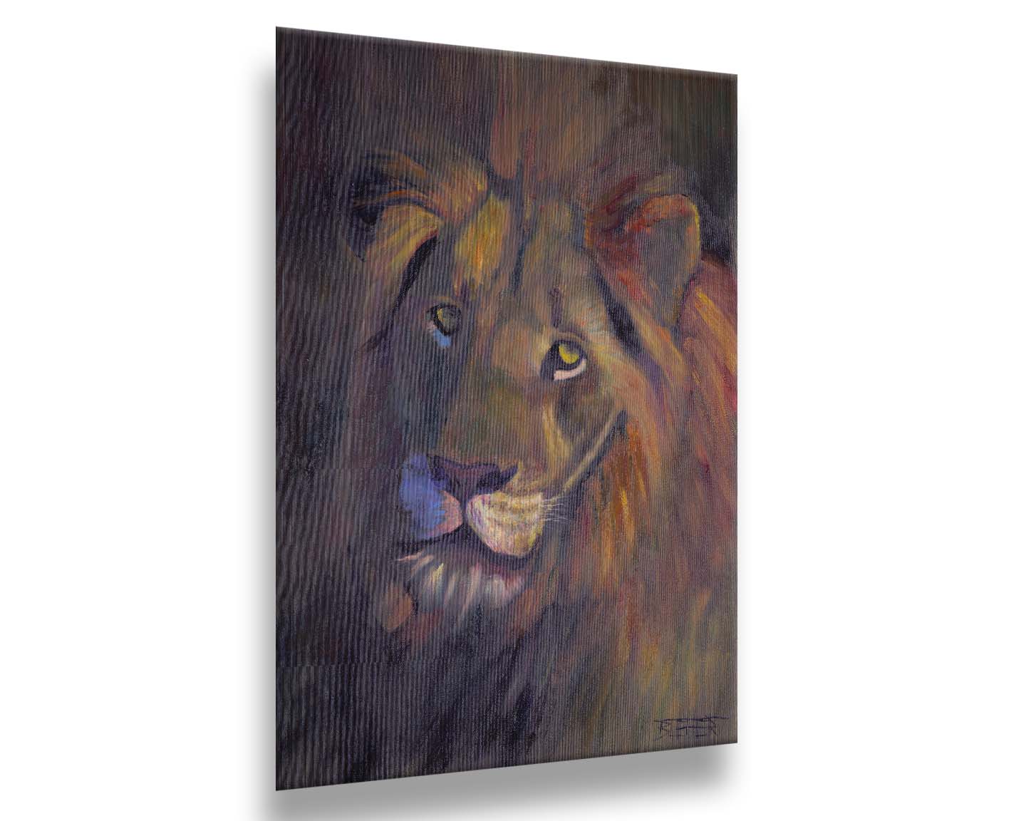 A portrait painting of a lion, accented with a soft gold light and purple shadows. Printed on metal.