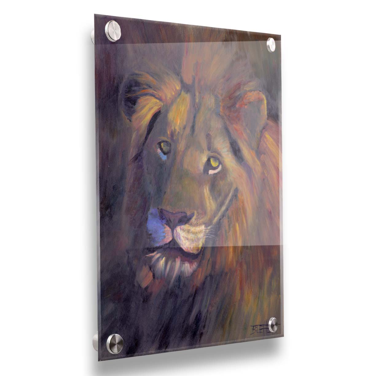 A portrait painting of a lion, accented with a soft gold light and purple shadows. Printed on acrylic.