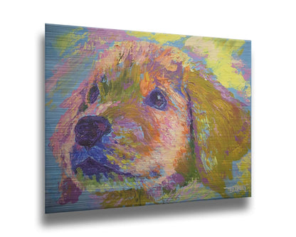 A painting of a golden retrieveer puppy close up. Printed on metal.