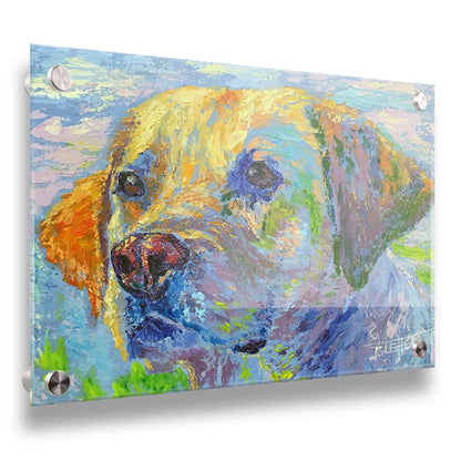 A painting of a golden retriever in yellow, blue, and green. Printed on acrylic.