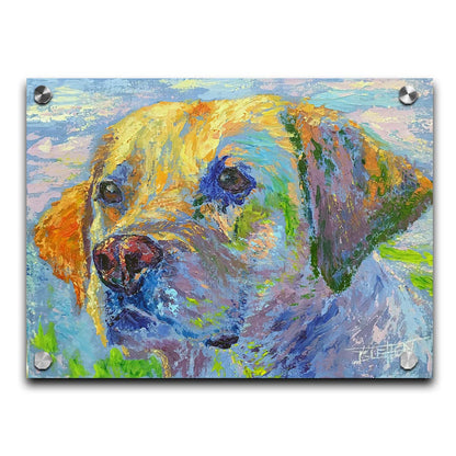 A painting of a golden retriever in yellow, blue, and green. Printed on acrylic.