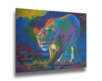 A painting of a lioness on the hunt. It is painted using arbitrary color, across a broad spectrum. Printed on metal.