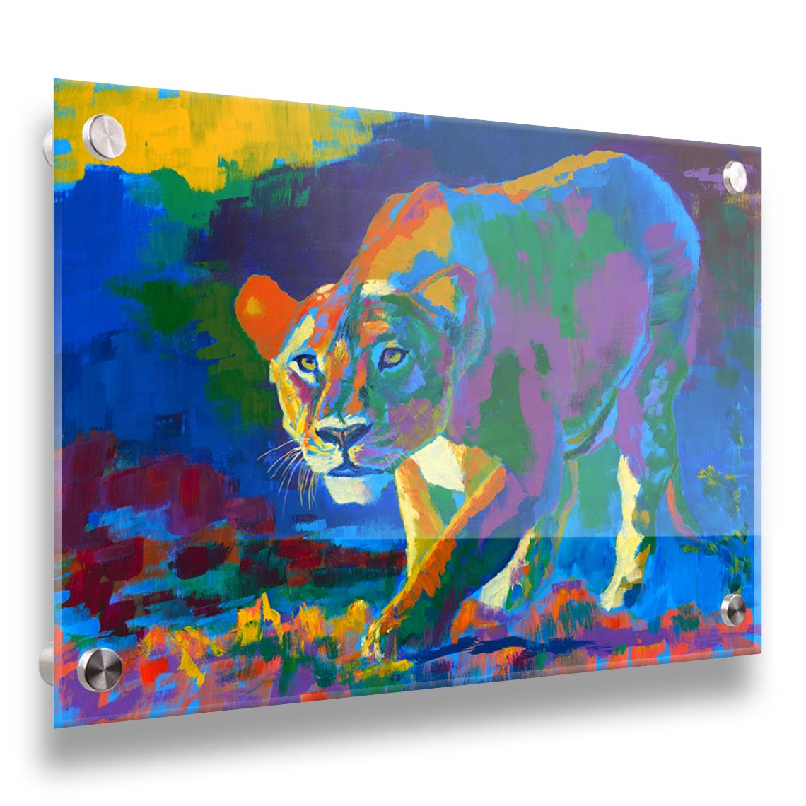 A painting of a lioness on the hunt. It is painted using arbitrary color, across a broad spectrum. Printed on acrylic.