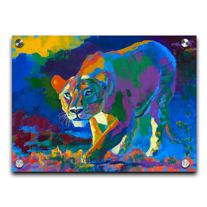 A painting of a lioness on the hunt. It is painted using arbitrary color, across a broad spectrum. Printed on acrylic.