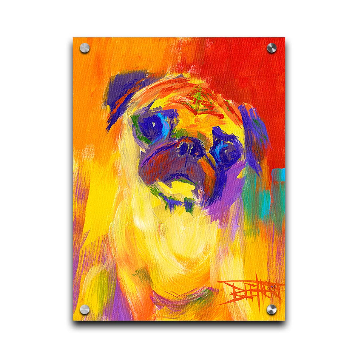 A painting of a pug using an arbitary color pallet in bright colors ranging from red to purple. The unblended brushstrokes create interesting texture and form. Printed on acrylic.