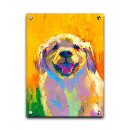 A painting of a golden retriever puppy. It's painted in large, vibile brushstrokes in a vibrant spectrum of color. Printed on acrylic.