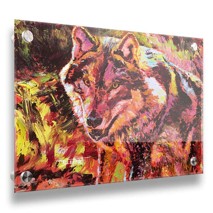 A painting of a wolf rendered in reds and yellows. Printed on acrylic.