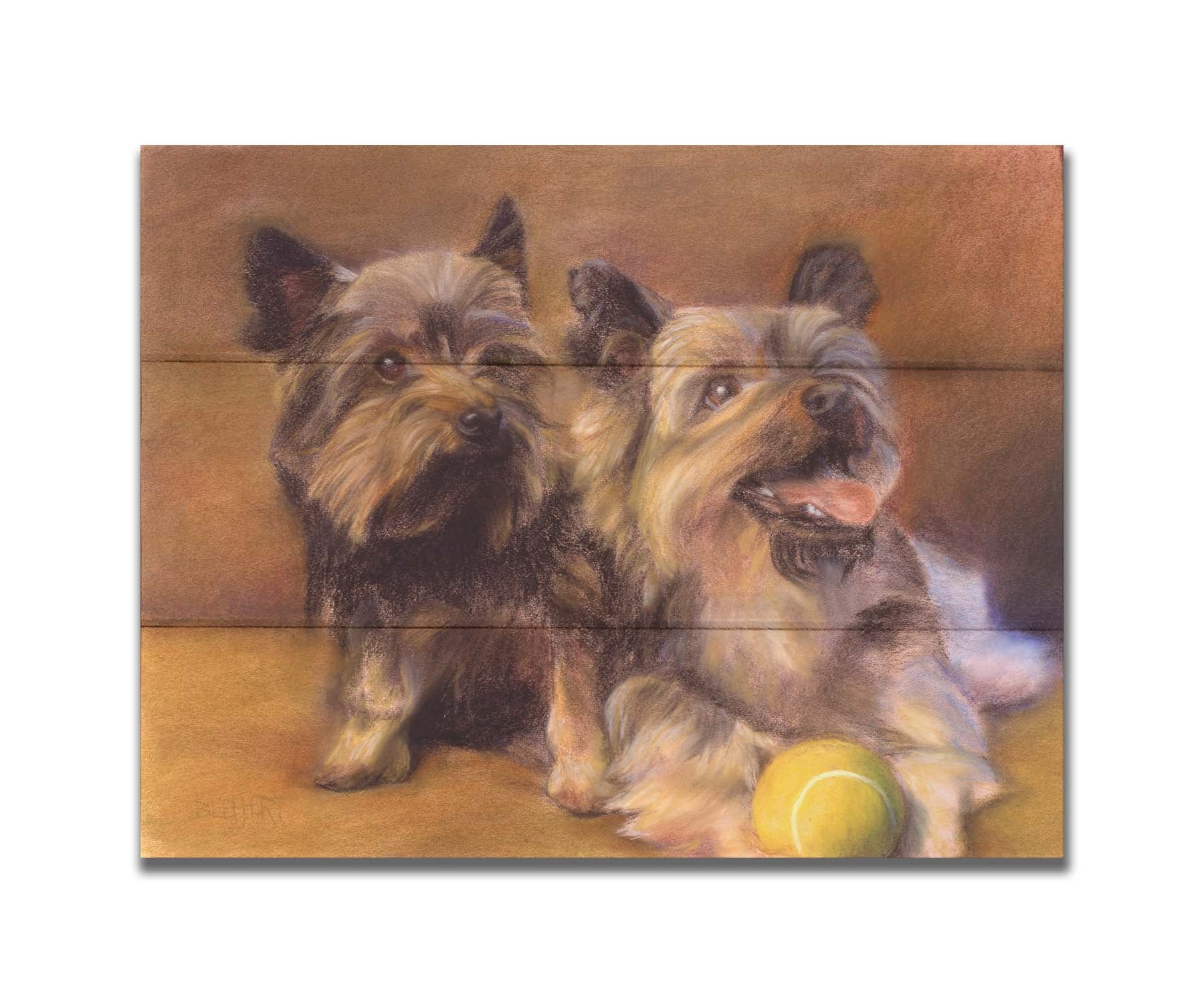 A painting of two brown terrier dogs sitting with a tennis ball. Printed on a box board.