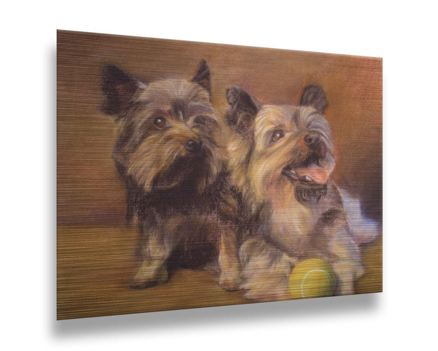 A painting of two brown terrier dogs sitting with a tennis ball. Printed on metal.