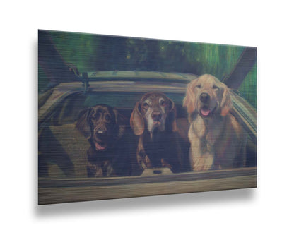 A painting of three dogs in the back of a hatchback, ready to go for a car ride. Printed on metal.