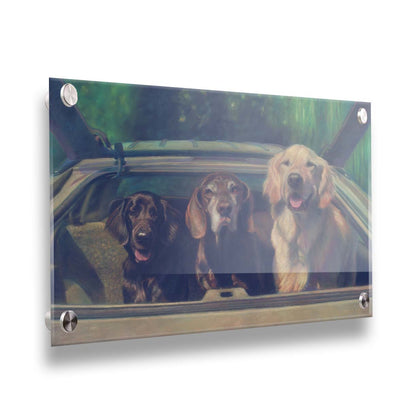 A painting of three dogs in the back of a hatchback, ready to go for a car ride. Printed on acrylic.