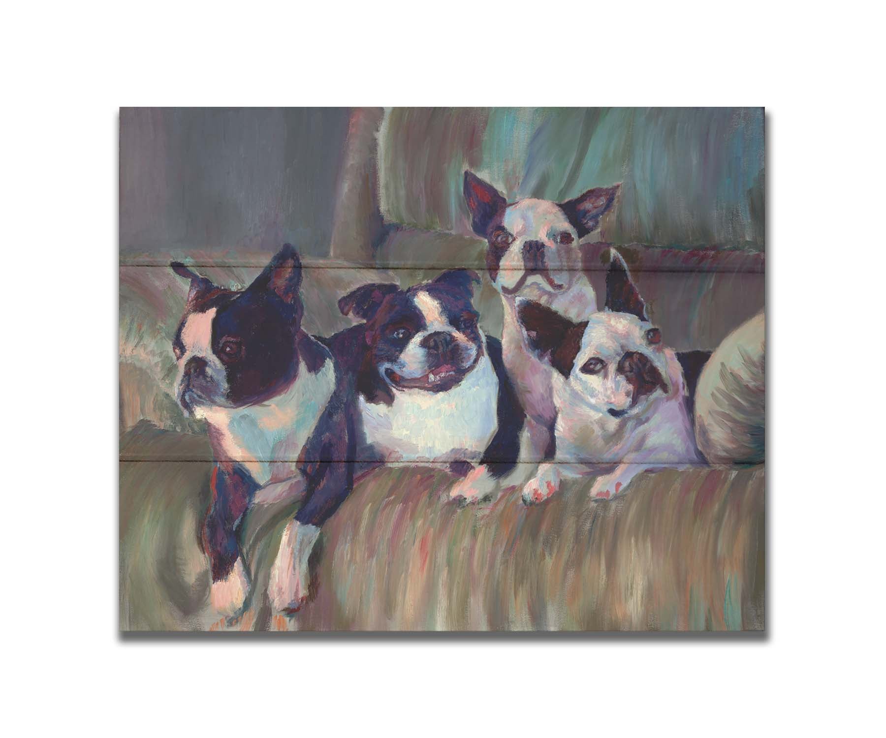 A painting of four Boston terriers, posed lying in a light brown armchair. Printed on a box board.