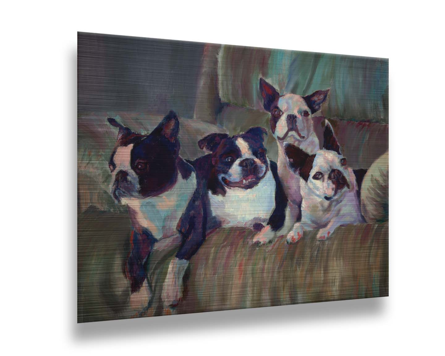 A painting of four Boston terriers, posed lying in a light brown armchair. Printed on metal.