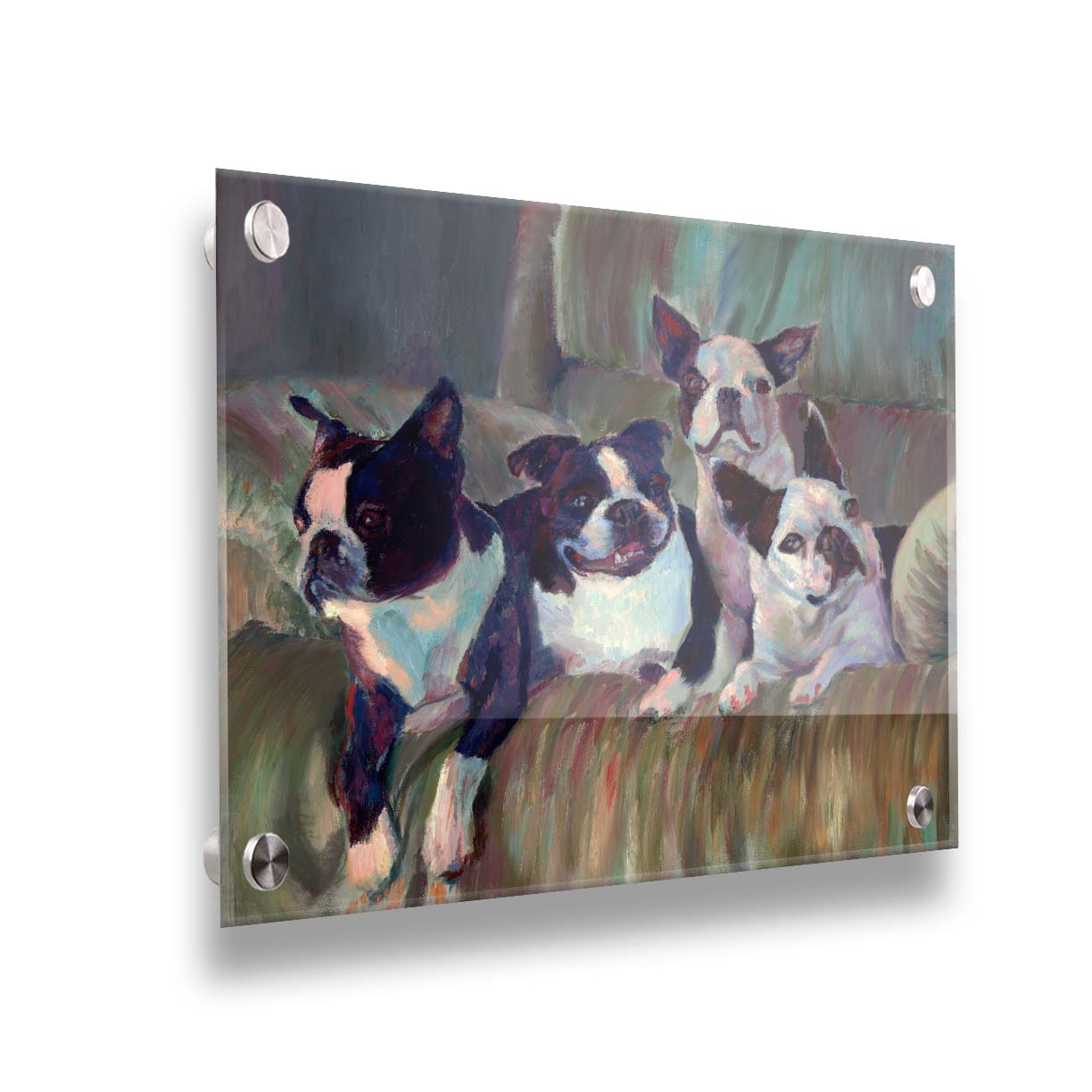 A painting of four Boston terriers, posed lying in a light brown armchair. Printed on acrylic.