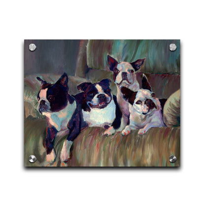 A painting of four Boston terriers, posed lying in a light brown armchair. Printed on acrylic.