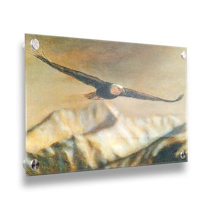 A painting of an eagle soaring over the mountains with warm brown tones. Printed on acrylic.