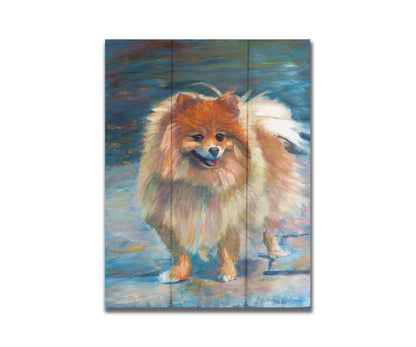 A pet portrait painting of a fluffy pomeranian dog, standing against a blue background. Printed on a box board.