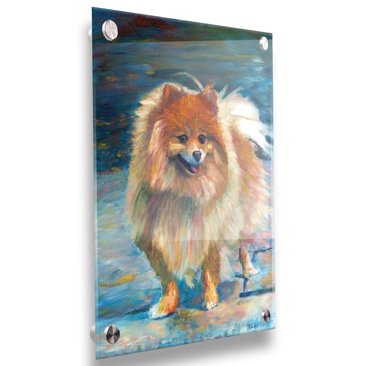 A pet portrait painting of a fluffy pomeranian dog, standing against a blue background. Printed on acrylic.