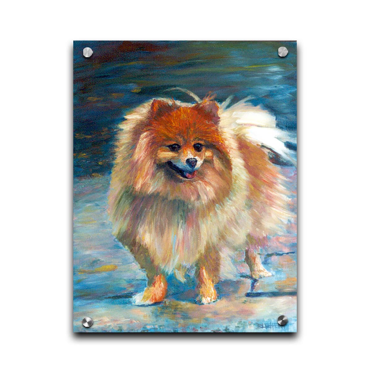 A pet portrait painting of a fluffy pomeranian dog, standing against a blue background. Printed on acrylic.