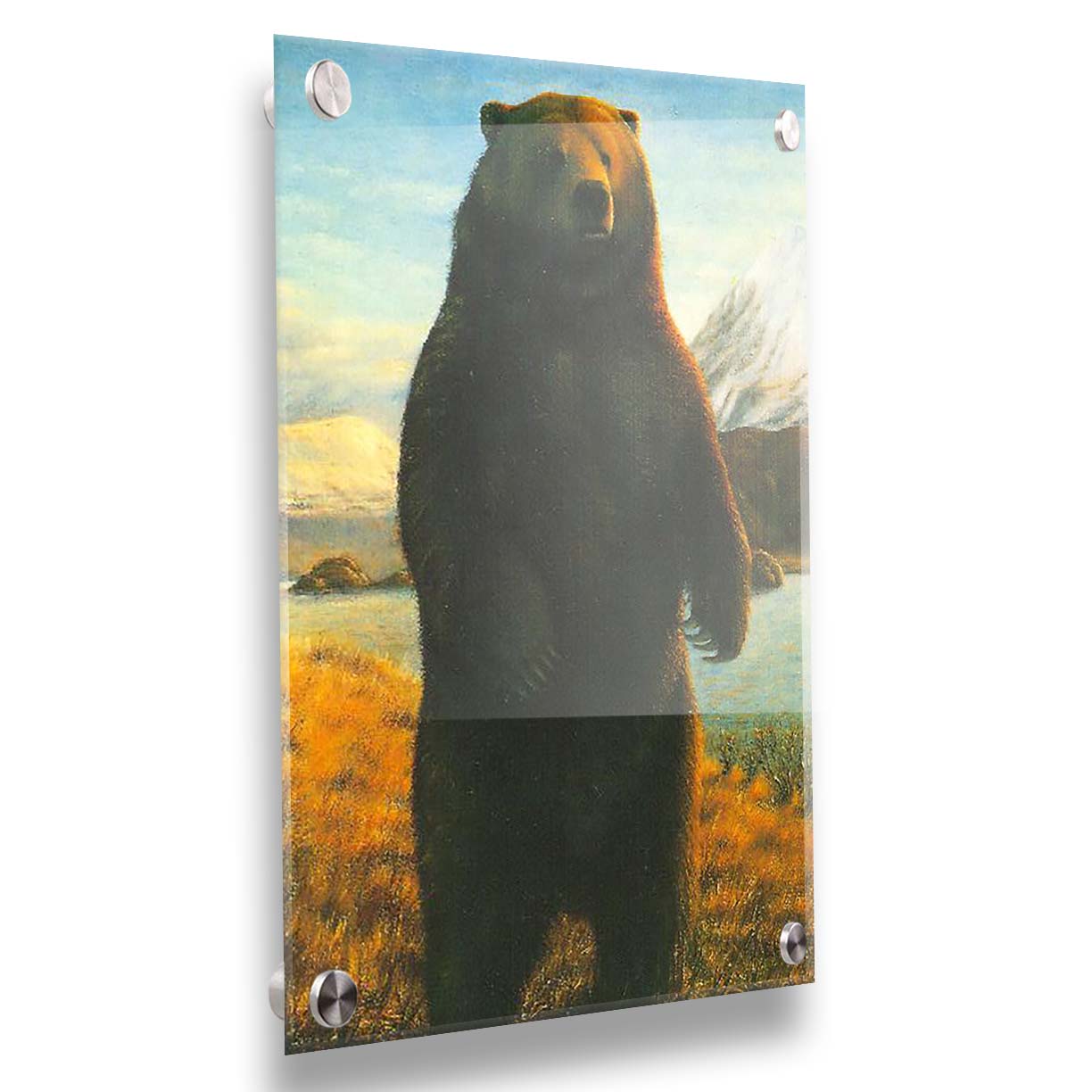 A portrait painting of a brown bear standing on its back legs in a yellow field, next to a lake and mountain range. Printed on acrylic.