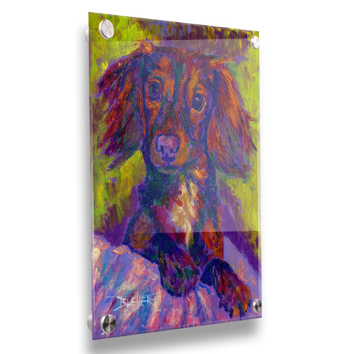 A painting of a dachshund, or wiener dog, lying on a cushion or blanket. It is perking up playfully, and it is painted using a purple, green, and brown palette. Printed on acrylic.