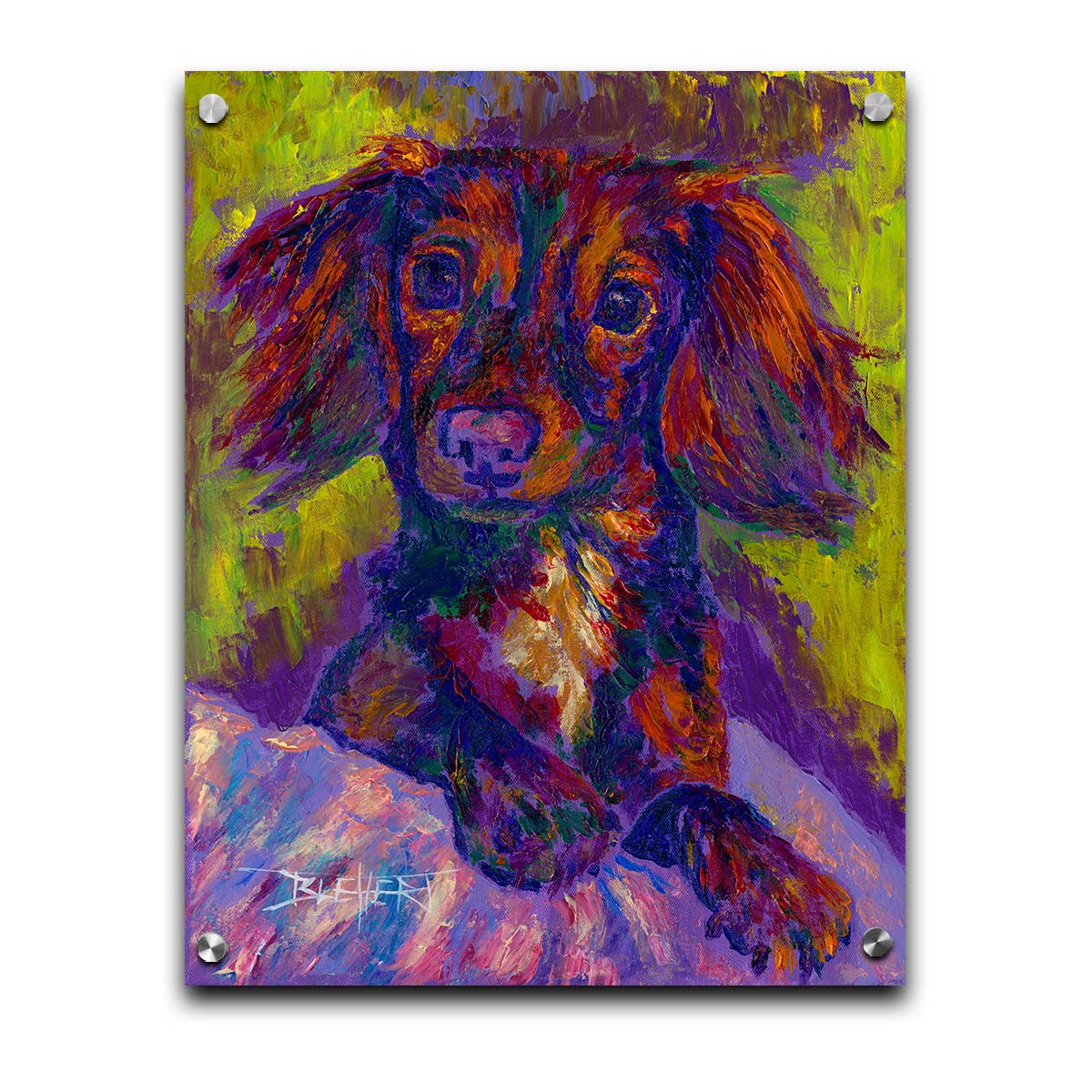 A painting of a dachshund, or wiener dog, lying on a cushion or blanket. It is perking up playfully, and it is painted using a purple, green, and brown palette. Printed on acrylic.