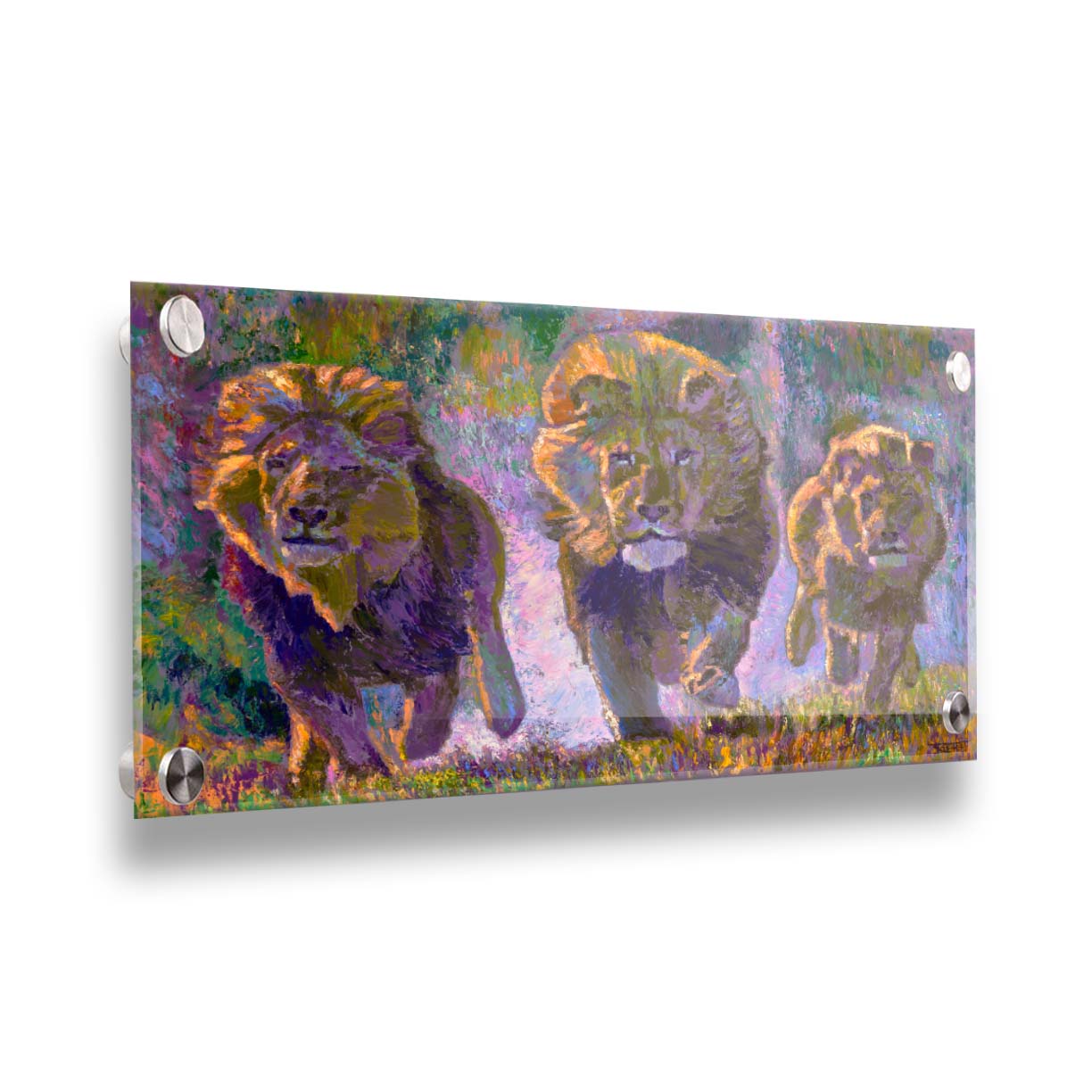 A painting of three fierce lions on the hunt, running "toward" the viewer. The visible brushstrokes and use of broken color acentuate the movement of the animals. Printed on acrylic.