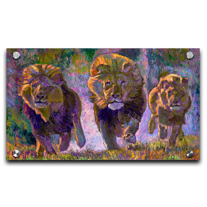 A painting of three fierce lions on the hunt, running "toward" the viewer. The visible brushstrokes and use of broken color acentuate the movement of the animals. Printed on acrylic.