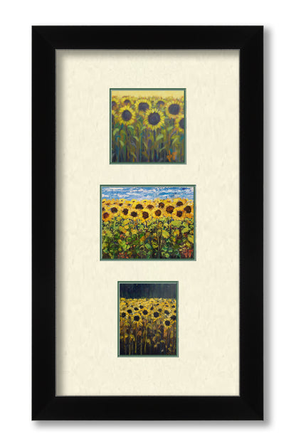 Sunflowers Set by Jeff Boutin