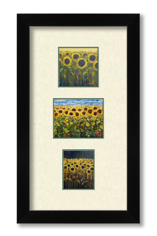 Sunflowers Set by Jeff Boutin