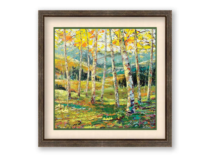 A painting of a birch forest with the yellow leaves of fall. Printed on paper, matted, and framed.