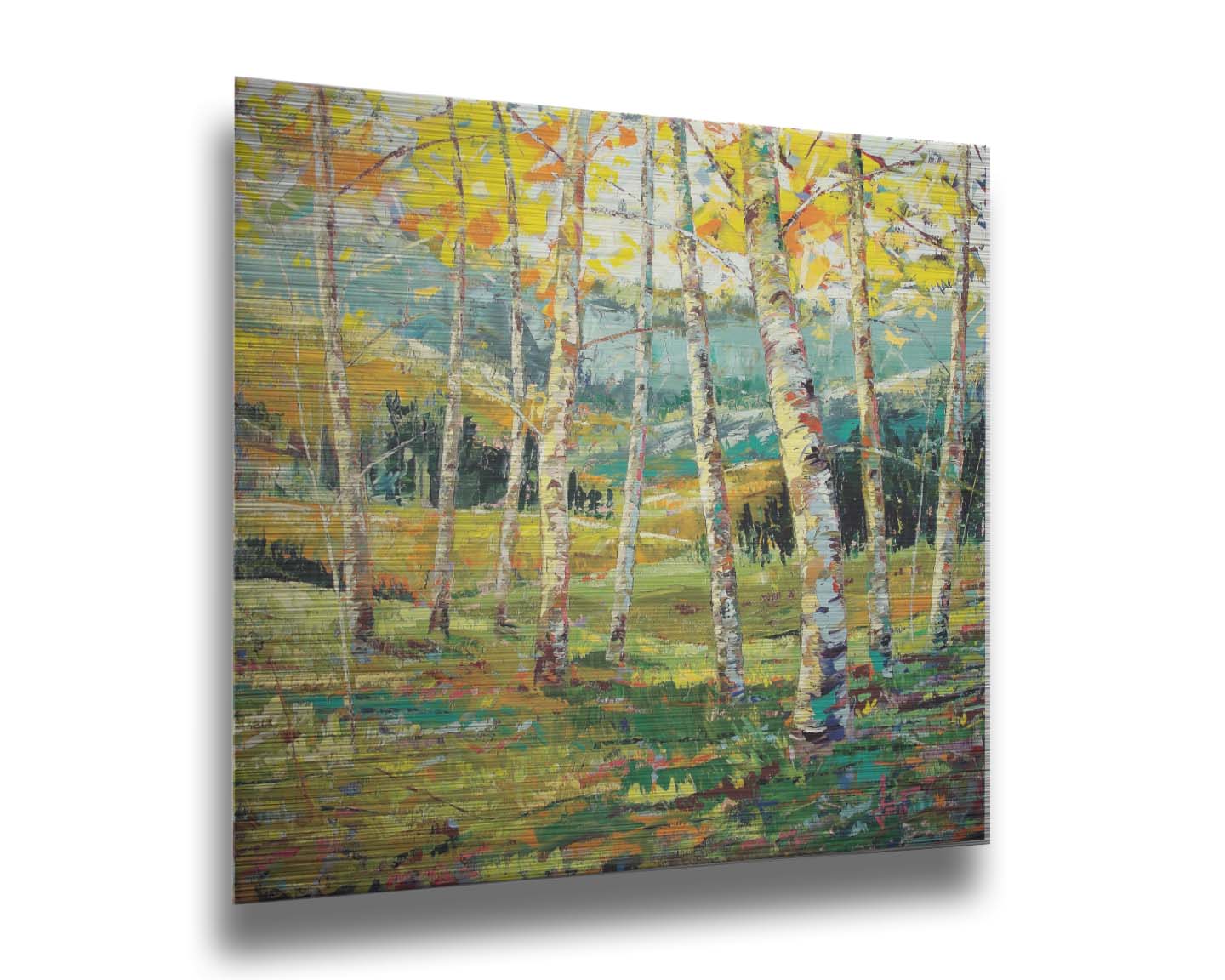 A painting of a birch forest with the yellow leaves of fall. Printed on metal.