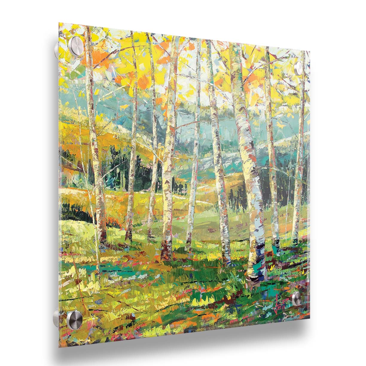 A painting of a birch forest with the yellow leaves of fall. Printed on acrylic.