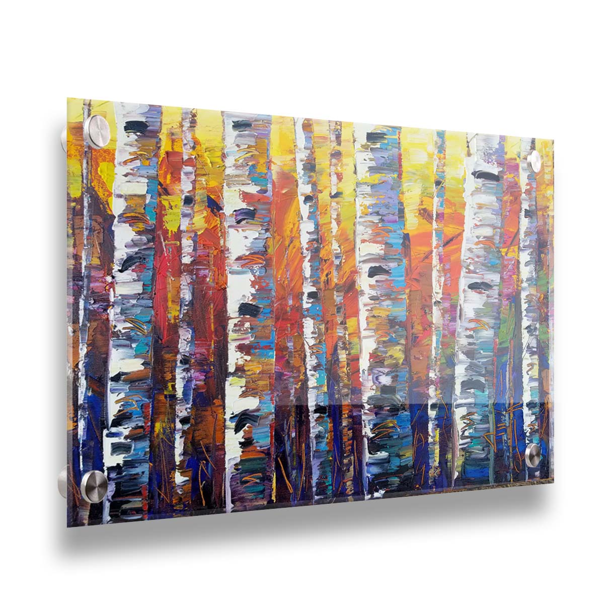 A colorful painting of a forest of birch trees in arbitrary color, with white trunks against a yellow, red, and blue background made of large swaths of pallet knife paint. Printed on acrylic.