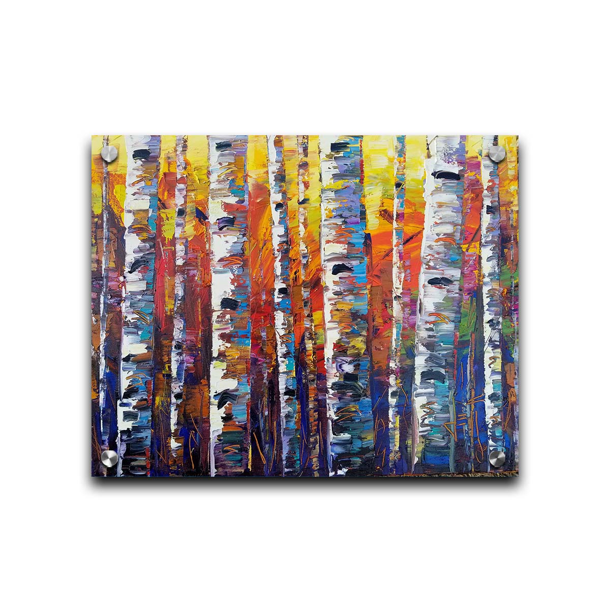 A colorful painting of a forest of birch trees in arbitrary color, with white trunks against a yellow, red, and blue background made of large swaths of pallet knife paint. Printed on acrylic.