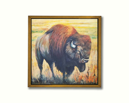 A paintng of an American bison, standing in a light yellow field. Printed on canvas in a float frame.