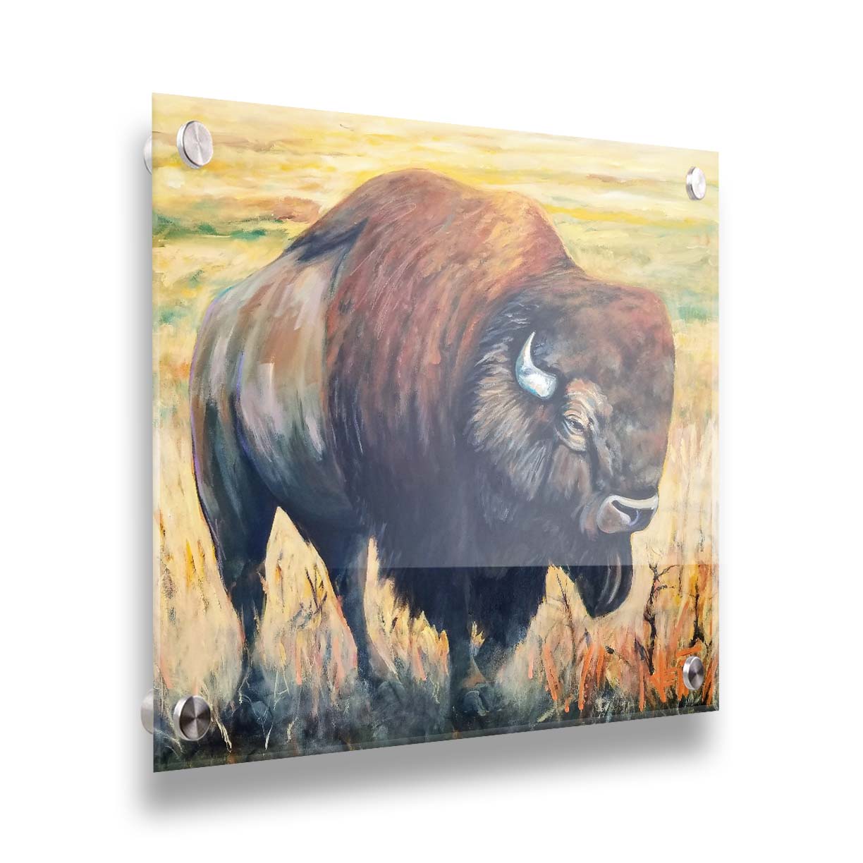 A paintng of an American bison, standing in a light yellow field. Printed on acrylic.