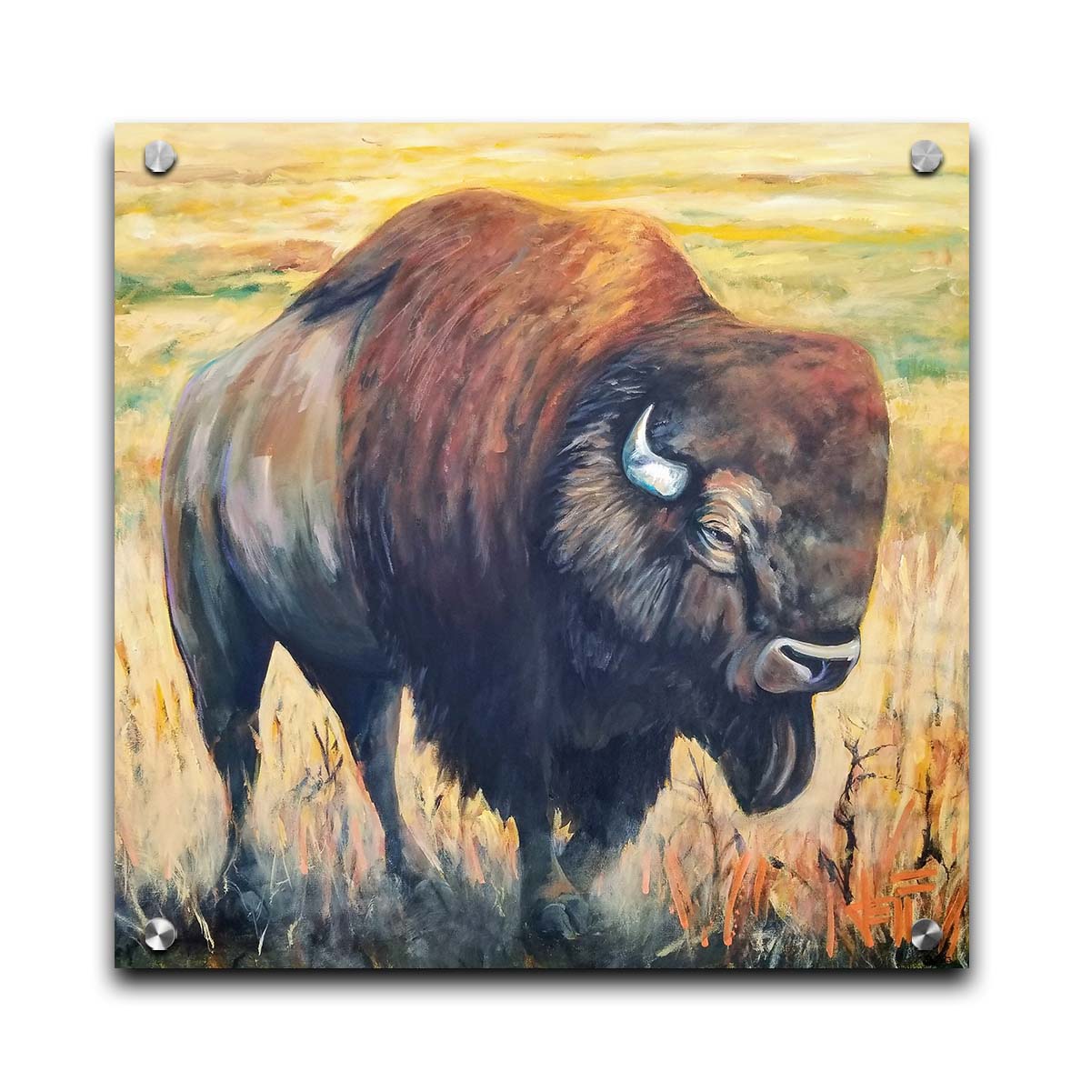 A paintng of an American bison, standing in a light yellow field. Printed on acrylic.