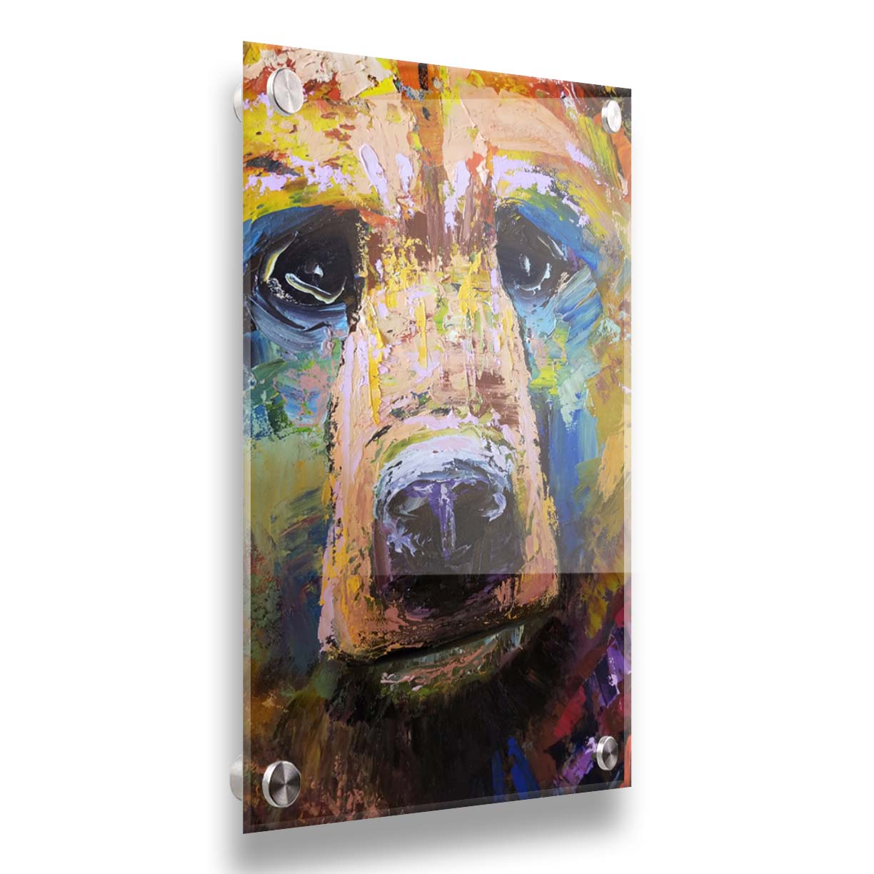 A painting of a bear's face closeup, accented with blue and yellow. Printed on acrylic.