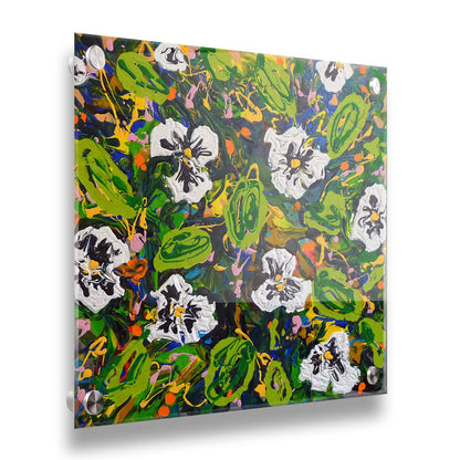 A painting of a top down drip painting view of white pansy flowers. Printed on acrylic.